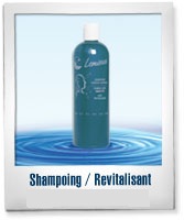 Shampoing - Cheveux gras (épinette)